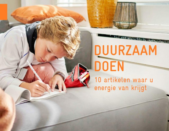 E book Duurzaam Doen