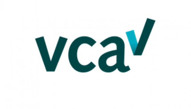 VCA 2025