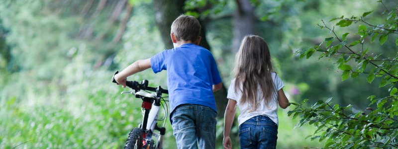 Kinderen in bos