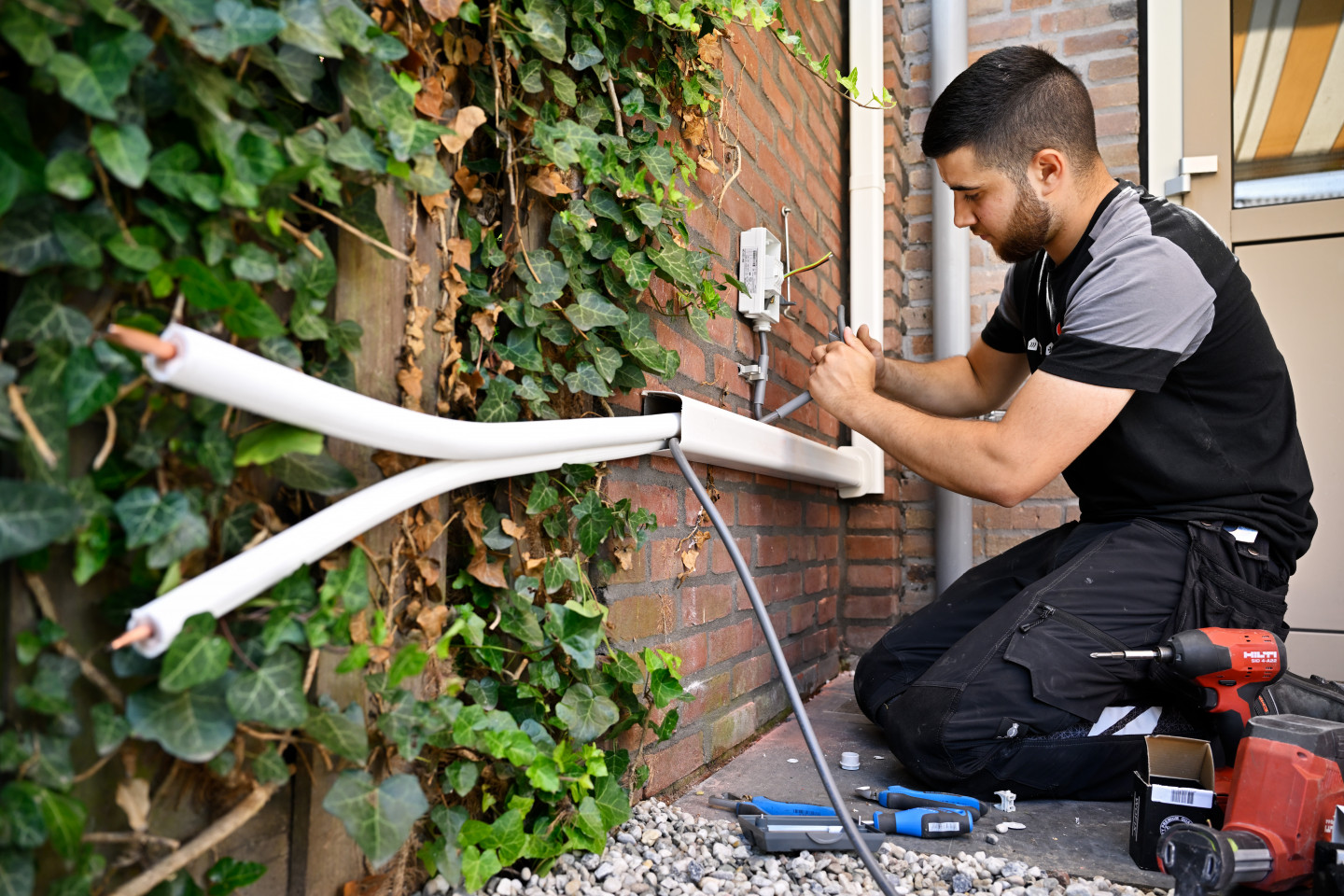 Installatie proces WP en monteur