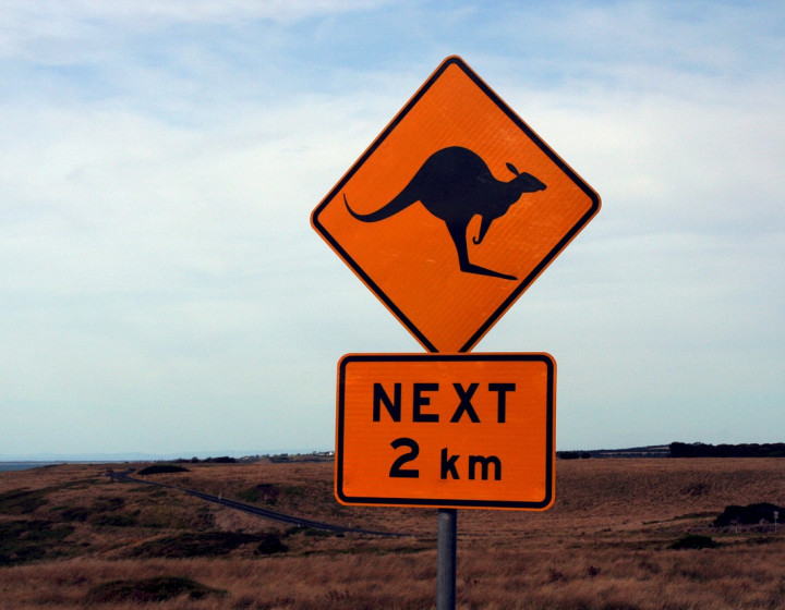 world solar challenge